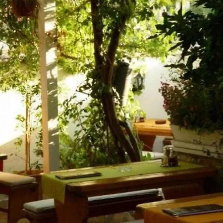 Apartment Adel - 70 M From Beach Supetar